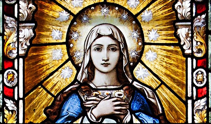 Image result for immaculate conception